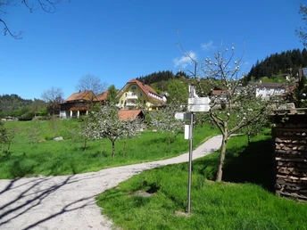 Frühling am Acherweg mit Blick zur Buhnefronze Mühle
