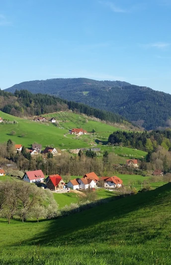 Blick vom Grimmerswald zur Ortsmitte Seebach