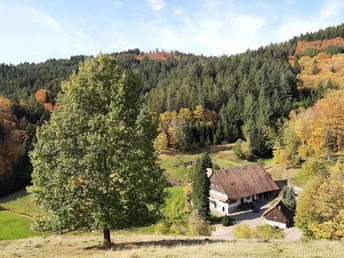 Blick zum malerischen Börsighof