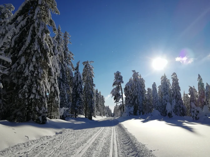 Kaltenbronn Langlauf Loipe