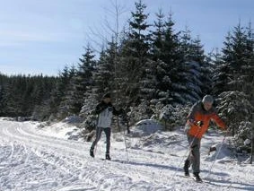 Kaltenbronn Langlauf