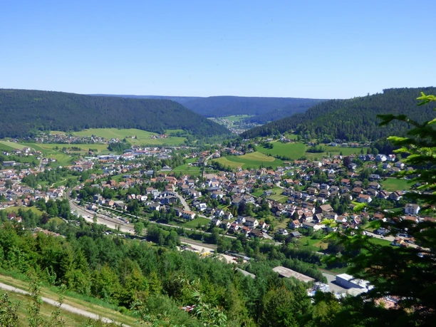 Blick auf Baiersbronn vom Stöckerkopf