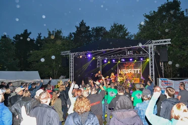 Kippenrock2