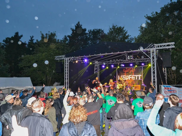 Kippenrock2