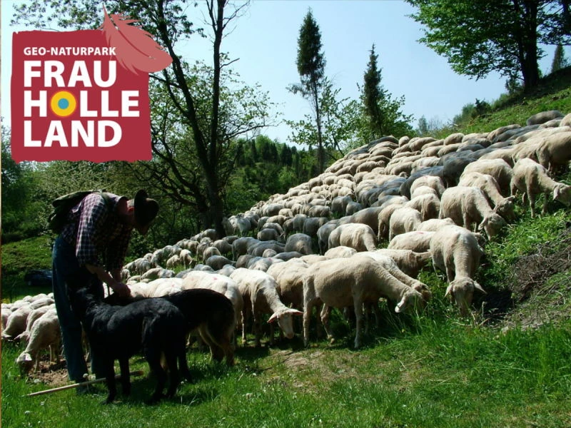 Schäfer mit Herde in den Hielöchern