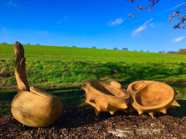 Entsprungen Ars Natura Melsungen