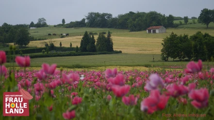 Grandenbörner Toscana