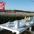 Gedeckter Tisch auf der Just-White-Tafel in den Mohnfeldern in Grandenborn