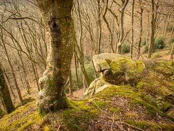 Felsen am Felsenweg 5 - Prümer Burg