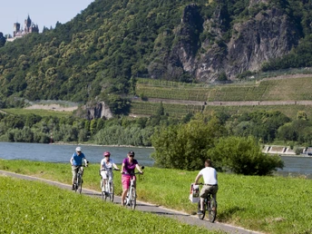 Der Rhein lockt auch viele Radfahrer an seine Ufer - hier vor der malerischen Kulisse des Drachenfelses.
