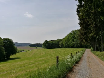 Wirtschaftsweg bei Lindlar-Linde Weg am Waldrand mit grünen Wiesen, Baumreihe rechts und Hügeln in der Ferne unter klarem Himmel.