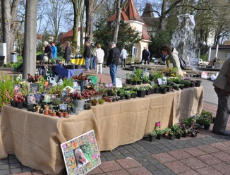Pflanzenflohmarkt von Wolfgang Fischer 2.jpg