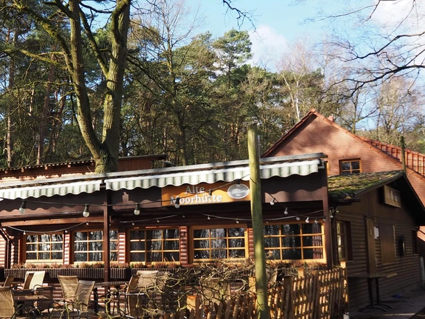 A rustic wooden hut with veranda and table group, surrounded by tall trees in the forest restaurant.