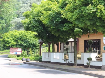 Ländliche Straße inmitten grüner, belaubter Bäume, die ein einladendes Gasthaus säumen.
