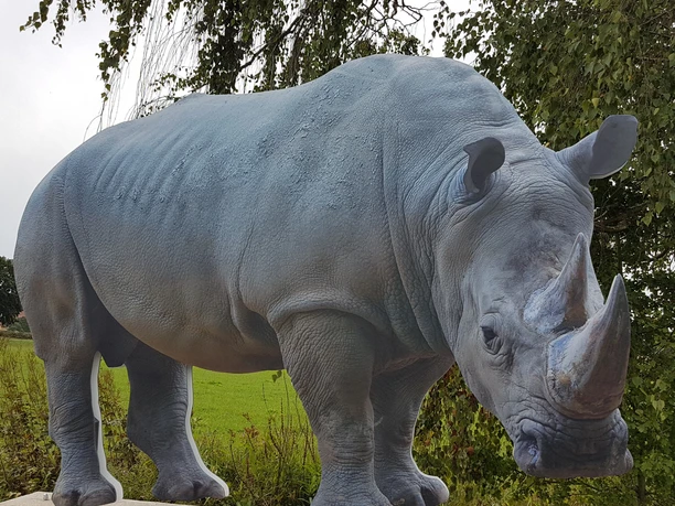 Wilde Tiere in der Schwalm