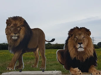 Auf Safari in der Schwalm