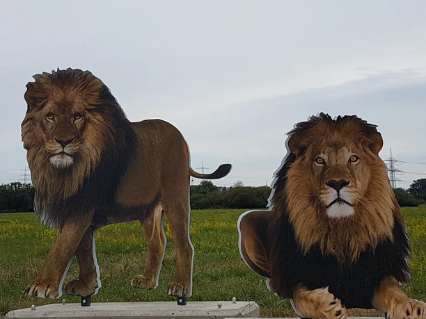 Auf Safari in der Schwalm