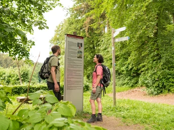 Weisshauswald - Ziel des Eifelsteigs