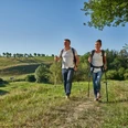 Zwei Wanderer mit Stöcken gehen über eine grüne Wiese, Bäume und Hügel im Hintergrund.