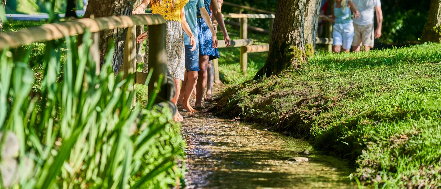 Familie auf dem Barfußpfad Eine Familie läuft barfuß durch einen Bach in einem Waldgebiet, umgeben von sommerlichen Bäumen.
