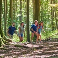 Eine vierköpfige Familie wandert an einem sonnigen Tag fröhlich durch einen grünen Wald.