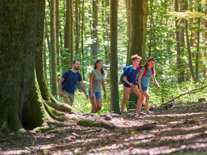 Eine vierköpfige Familie wandert an einem sonnigen Tag fröhlich durch einen grünen Wald.
