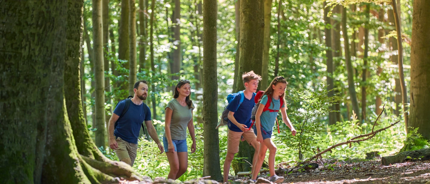 Familie im Wald Eine vierköpfige Familie wandert an einem sonnigen Tag fröhlich durch einen grünen Wald.