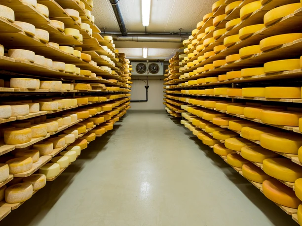 DSC_4298_fotoweb15.jpg