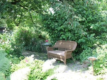 Zaubergarten Ein geflochtener Stuhl mit Tisch inmitten üppiger, grüner Gartenvegetation und schattenspendenden Bäumen.