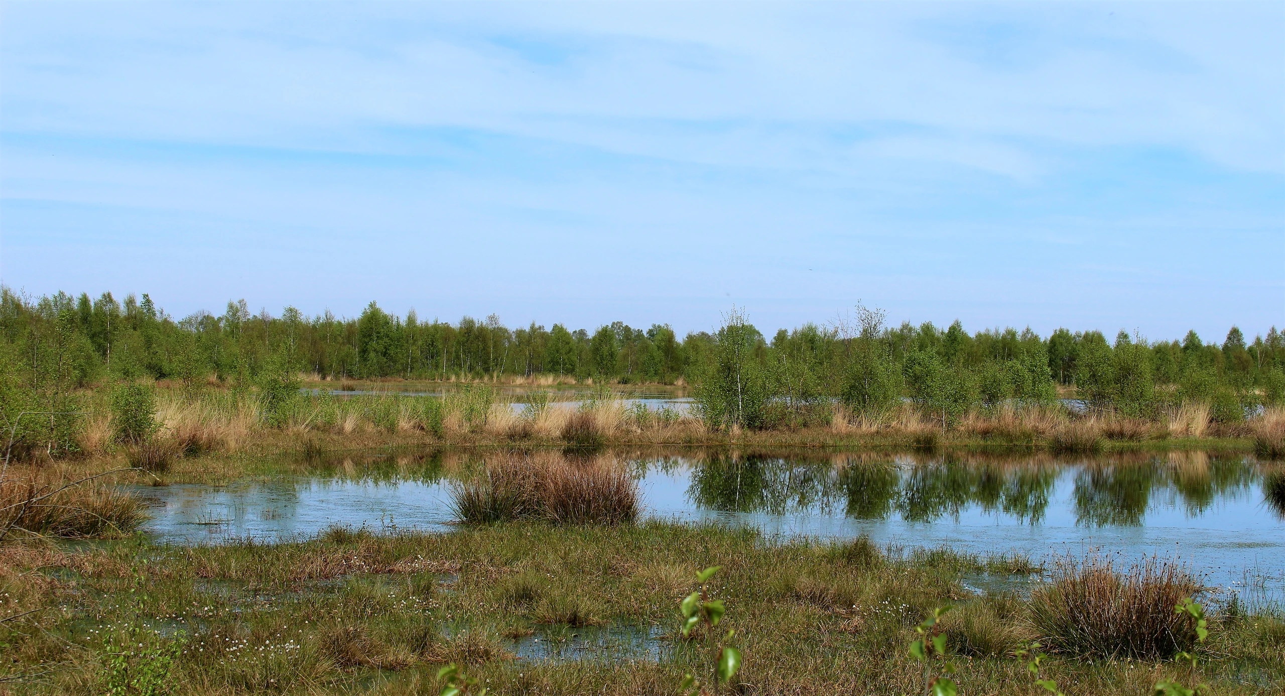 Provinzialmoor, Naturschutzgebiet bei Twist ©Naturpark Moor-Veenland (11).JPG