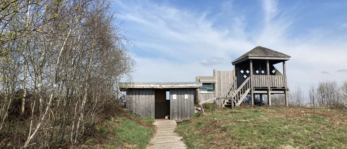 Oppenweher Moor Holzweg führt zu einem Aussichtspunkt mit Pavillon im Oppenweher Moor, umgeben von Bäumen und blauem Himmel.