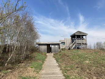 Oppenweher Moor Holzweg führt zu einem Aussichtspunkt mit Pavillon im Oppenweher Moor, umgeben von Bäumen und blauem Himmel.