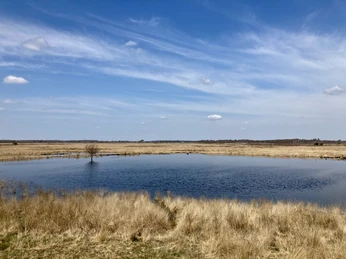 Oppenweher Moor Weites Moorlandschaftspanorama mit blauem Himmel, vereinzelten Wolken und einem See im Oppenweher Moor.