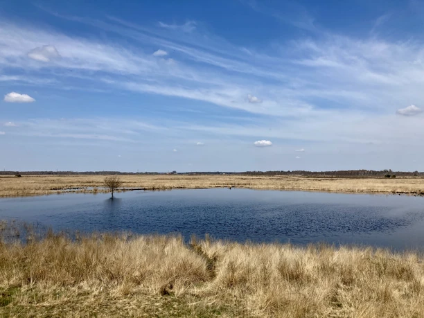 Oppenweher Moor Weites Moorlandschaftspanorama mit blauem Himmel, vereinzelten Wolken und einem See im Oppenweher Moor.