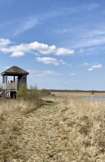 Aussichtsturm aus Holz am Oppenweher Moor, umgeben von Heidelandschaft und Wolken am blauen Himmel.
