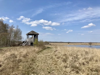 Oppenweher Moor Aussichtsturm aus Holz am Oppenweher Moor, umgeben von Heidelandschaft und Wolken am blauen Himmel.