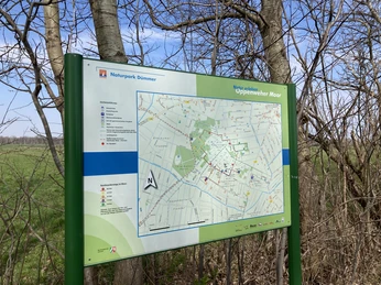 Oppenweher Moor Eine Informationstafel zeigt den Wanderweg und Schutzgebiete des Oppenweher Moors im Naturpark Dümmer.