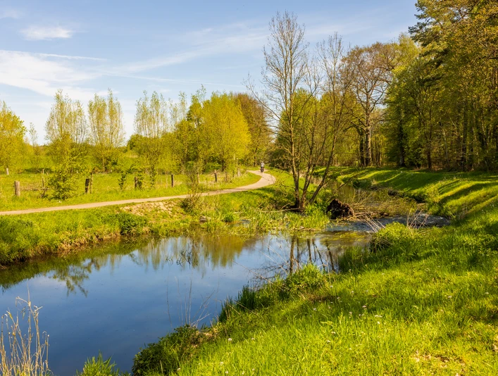 Ein ruhiger Fluss schlängelt sich durch eine grüne, baumbestandene Landschaft. Ein Wanderweg führt entlang.