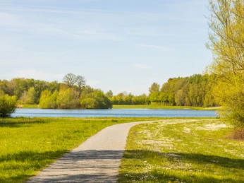 Naherholungsgebiet Große Aue Ein gewundener Weg führt an einem ruhigen See vorbei, umgeben von grünen Bäumen und Wiesen.