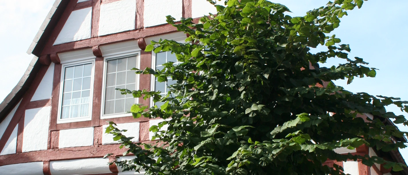 Half-timbered house in Hoya with a striking white and red façade and two flights of steps, surrounded by trees.