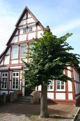 Fachwerk Hoya Fachwerkhaus in Hoya mit markanter weiß-roter Fassade und zwei Treppenstufen, umgeben von Bäumen.