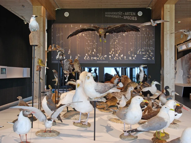 UNESCO-Weltnaturerbe Wattenmeer-Besucherzentrum Cuxhaven