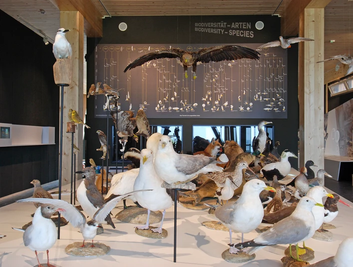 UNESCO-Weltnaturerbe Wattenmeer-Besucherzentrum Cuxhaven