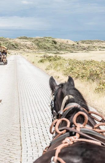 Flugplatzstrasse-Kutsche