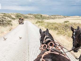 Flugplatzstrasse-Kutsche.jpg Flugplatzstrasse-Kutsche
