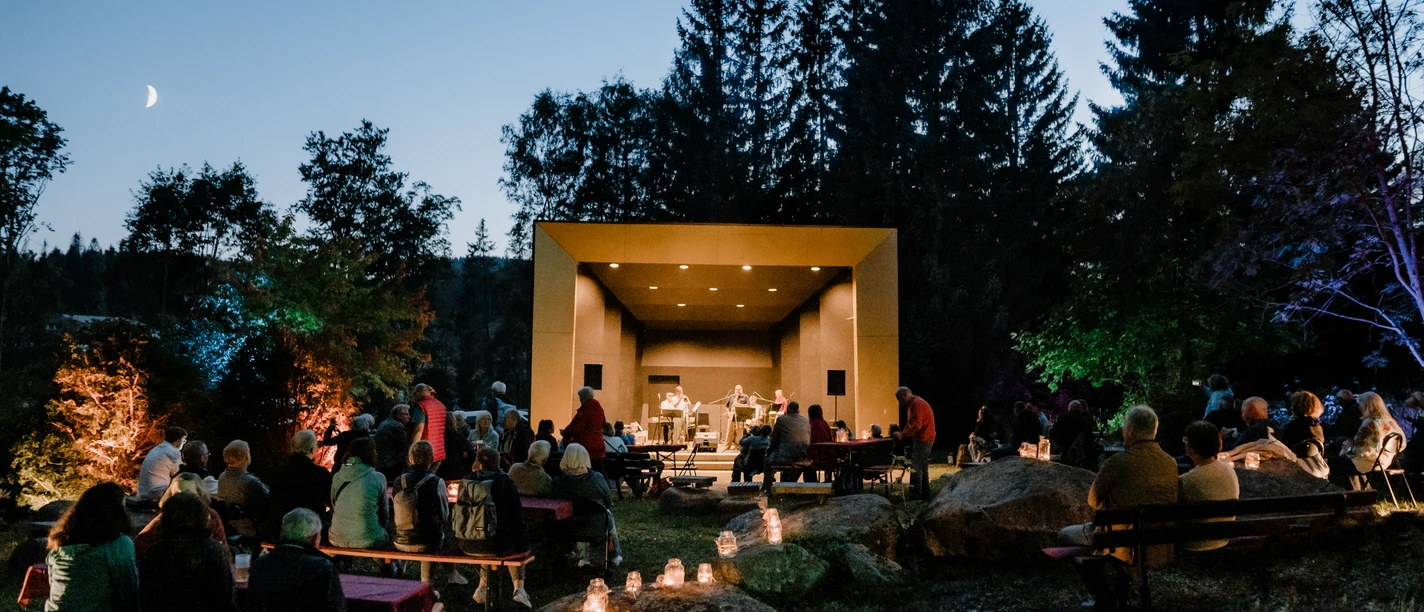 Schierker-Musiksommer_Polyluchs(18) (2).jpg