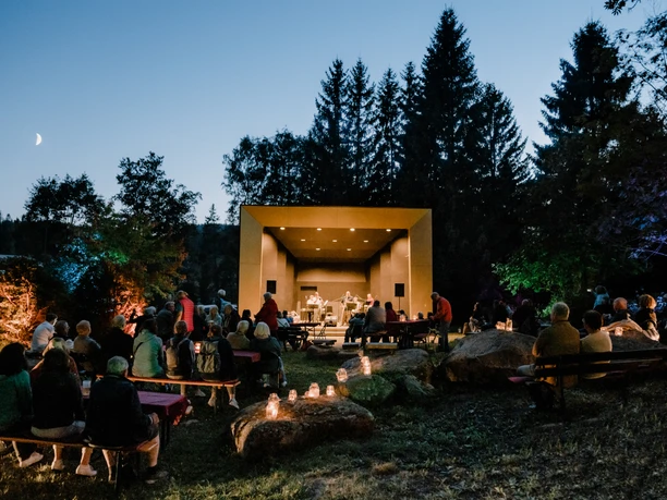 Schierker-Musiksommer_Polyluchs(18) (2).jpg