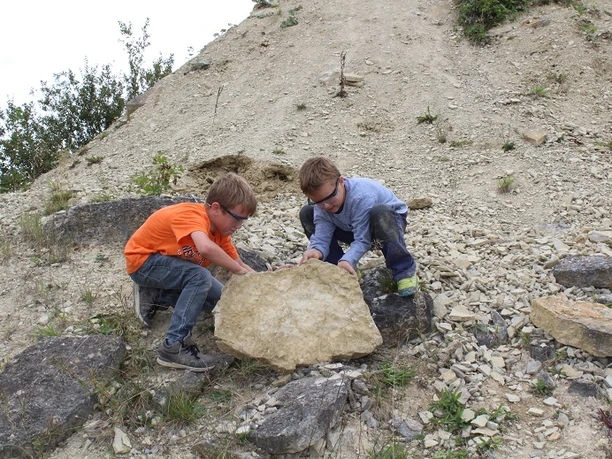 Erlebnissteinbruch Hainholz - Fossiliensuche Erlebnissteinbruch Hainholz - Fossiliensuche