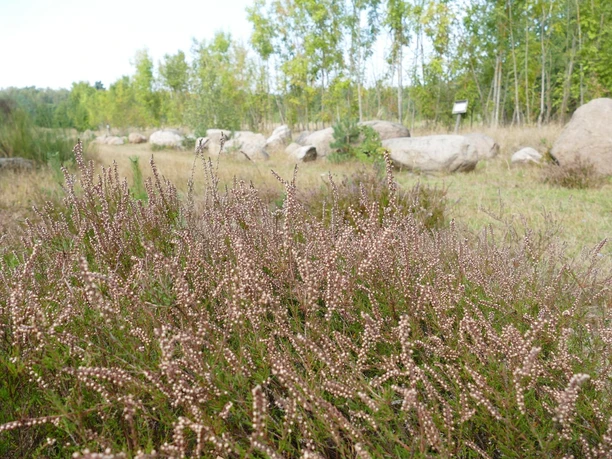 Findlingsgarten Königslutter Findlingsgarten Königslutter