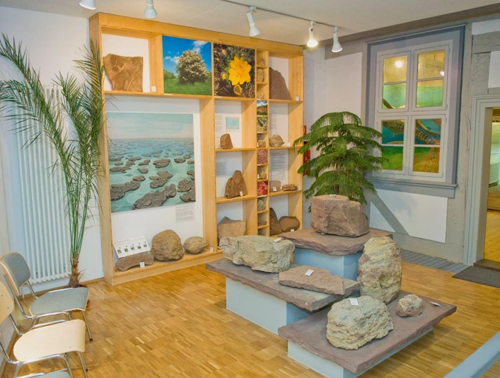 Geopark Infozentrum - Stromatolithe Geopark Infozentrum - Stromatolithe